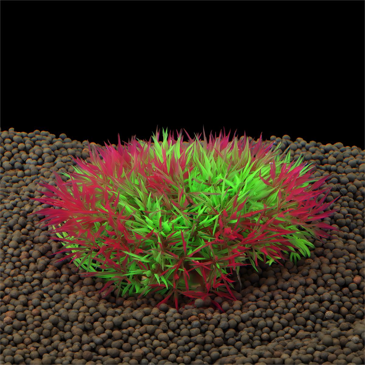 Artificial Water Grass Aquariu - Aquarium Fish Artificial 评论和价格