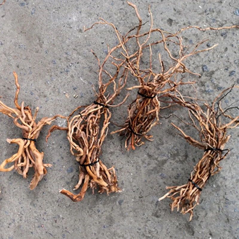 Natural Driftwood Root Trunk T - Aquarium Fish Artificial 评论和价格