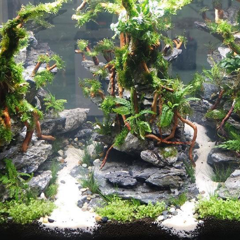 Natural Driftwood Root Trunk T - Aquarium Fish Artificial 评论和价格