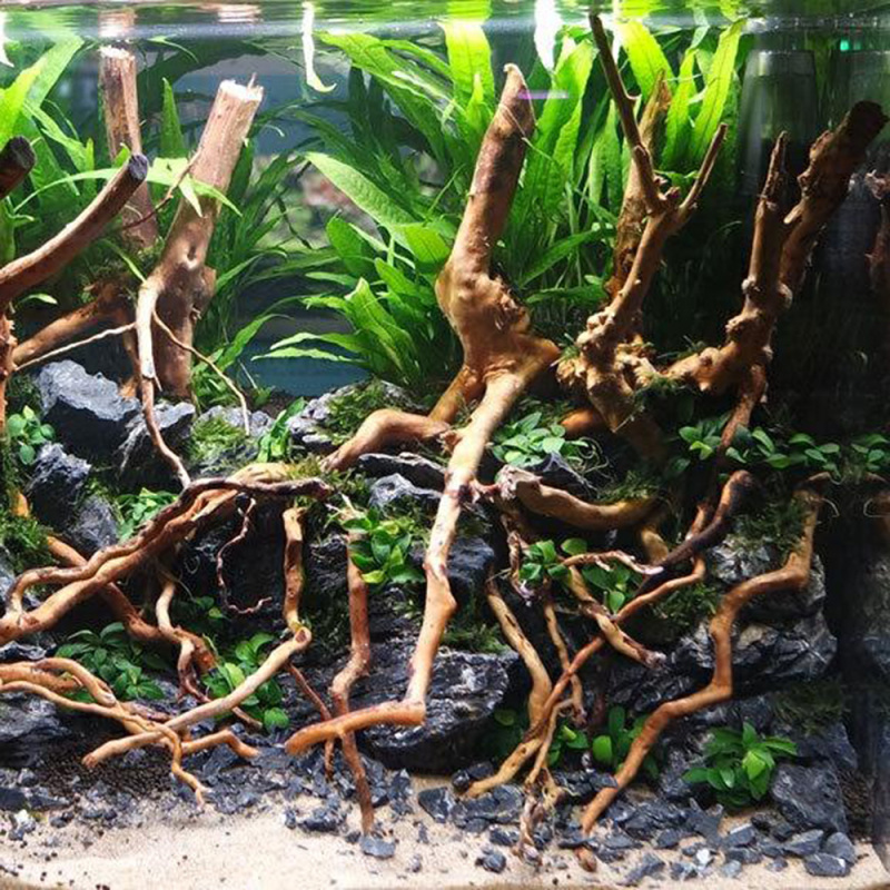 Natural Driftwood Root Trunk T - Aquarium Fish Artificial 评论和价格