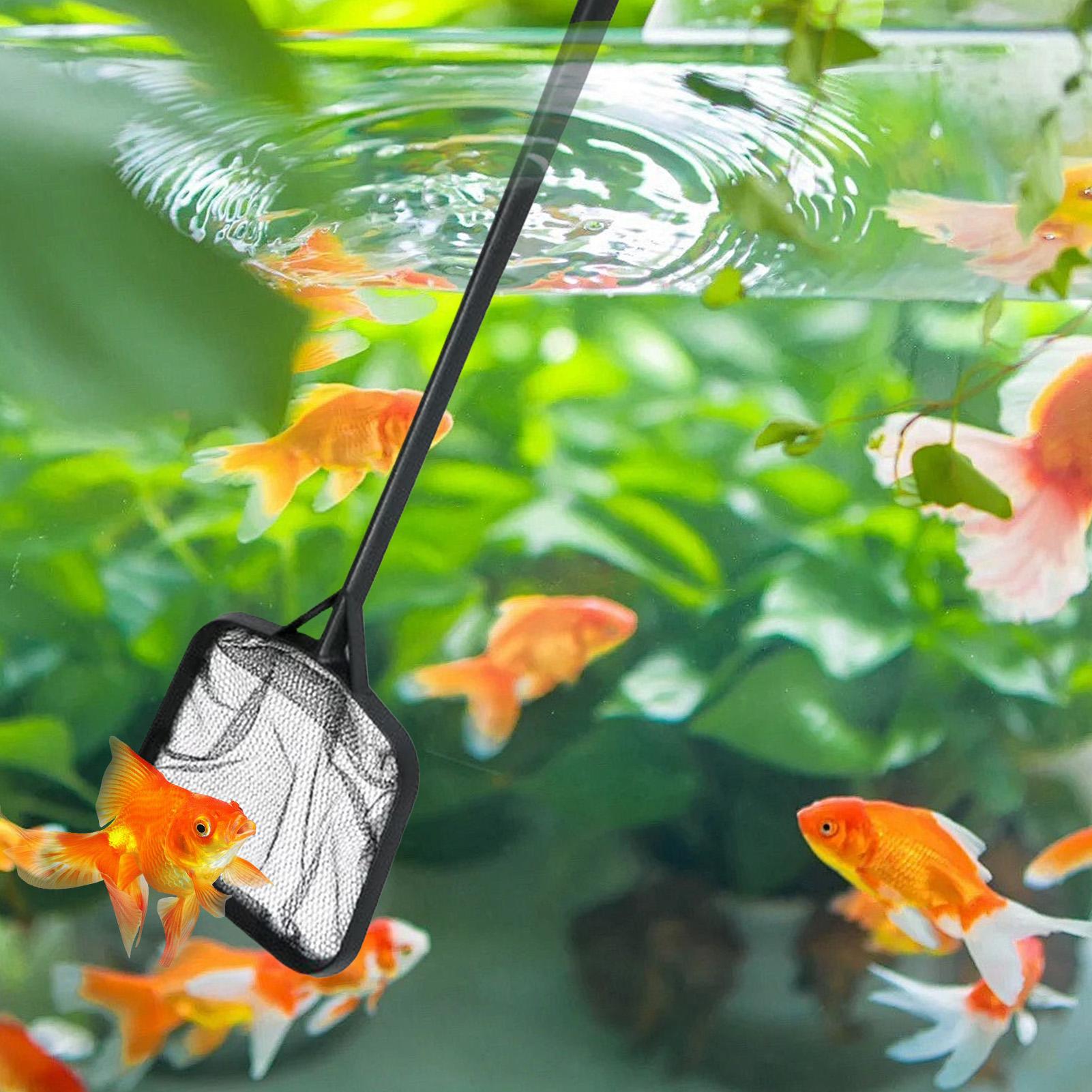 Pool Nets for Cleaning Portabl - Aquarium Fish Bowl 评论和价格