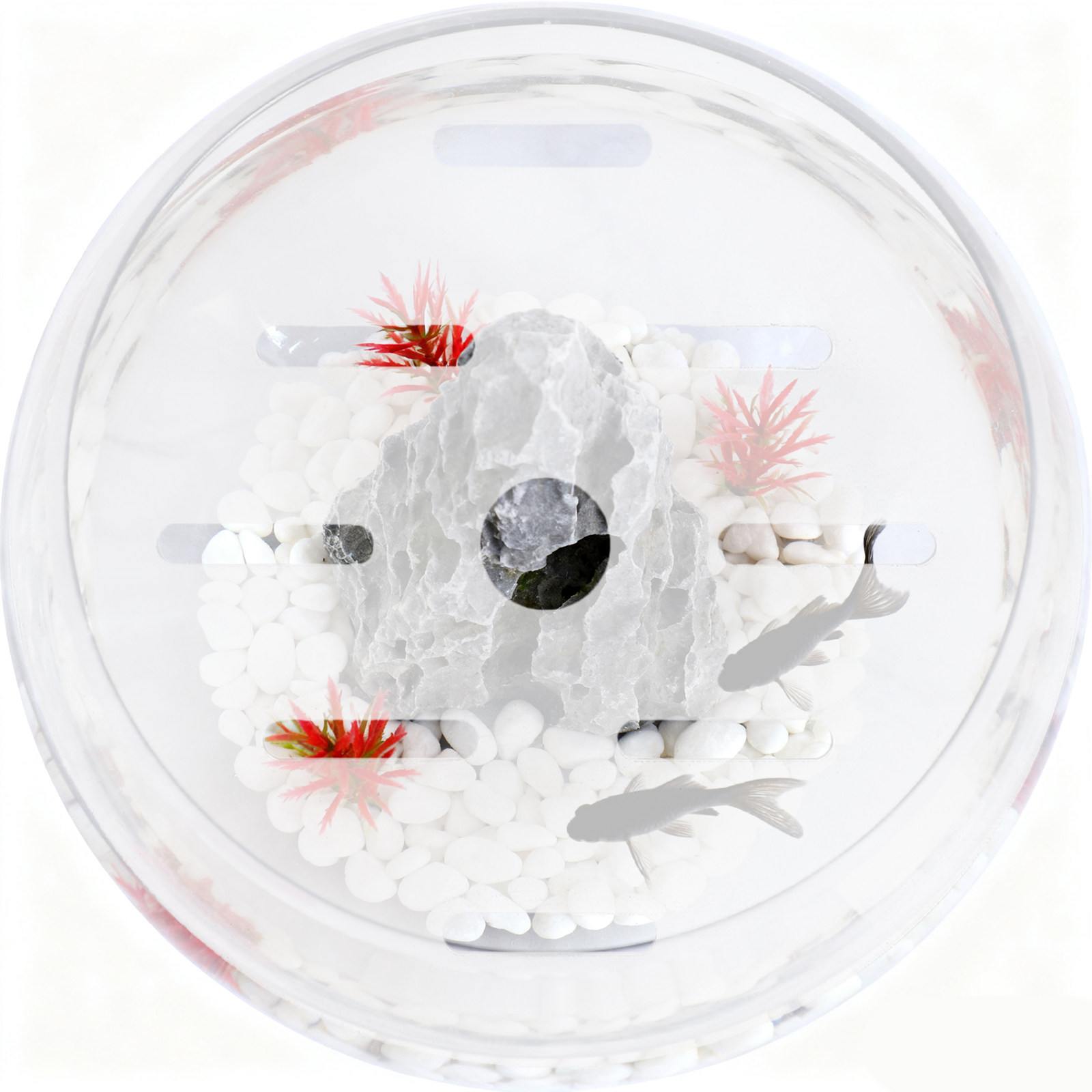 Clear Acrylic Aquarium Lid 18c - Aquarium Fish Jump Guard 评论和价格