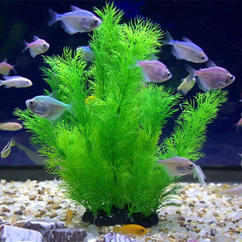 Artificial Aquarium Decor Plan - Aquarium Fish Artificial 评论和价格