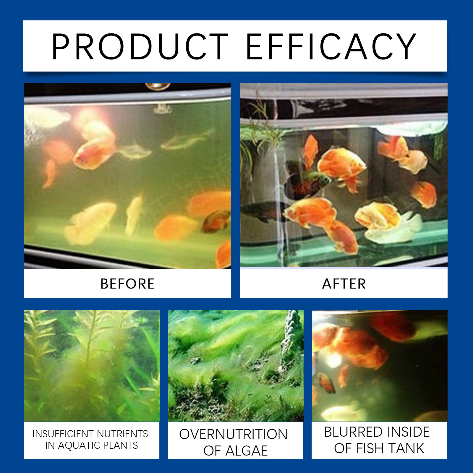 Aquarium Water Clarifier 100ml - Aquarium Fish Quality 评论和价格