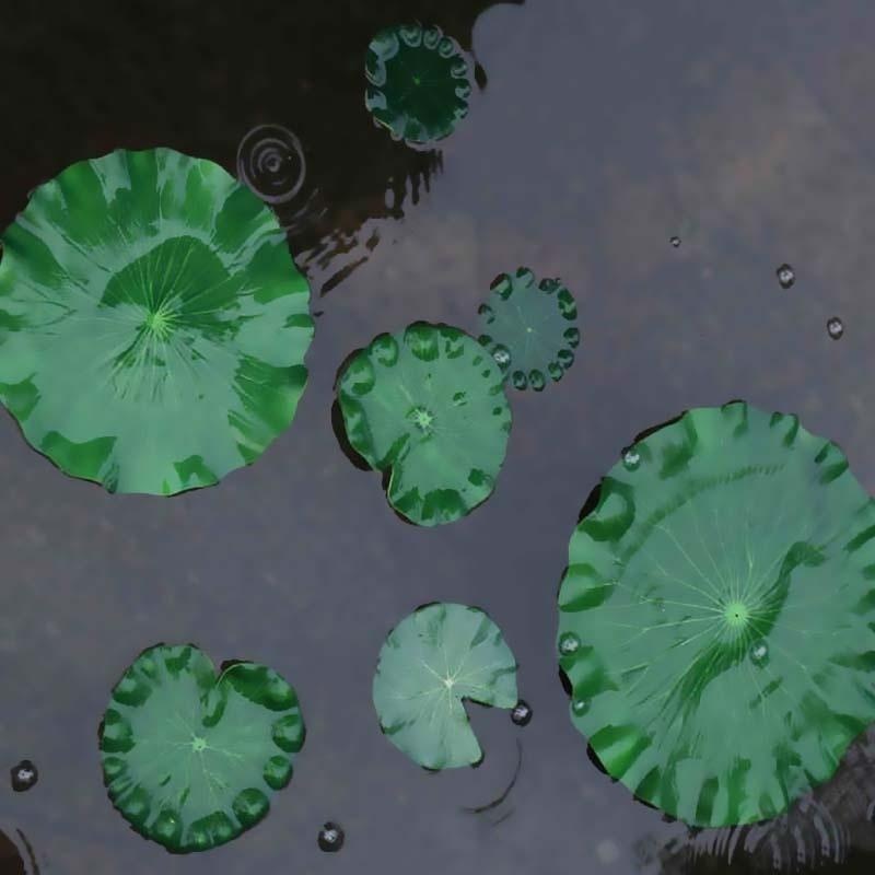 2026 Artificial Water Lily Lot - Aquarium Fish Artificial 评论和价格