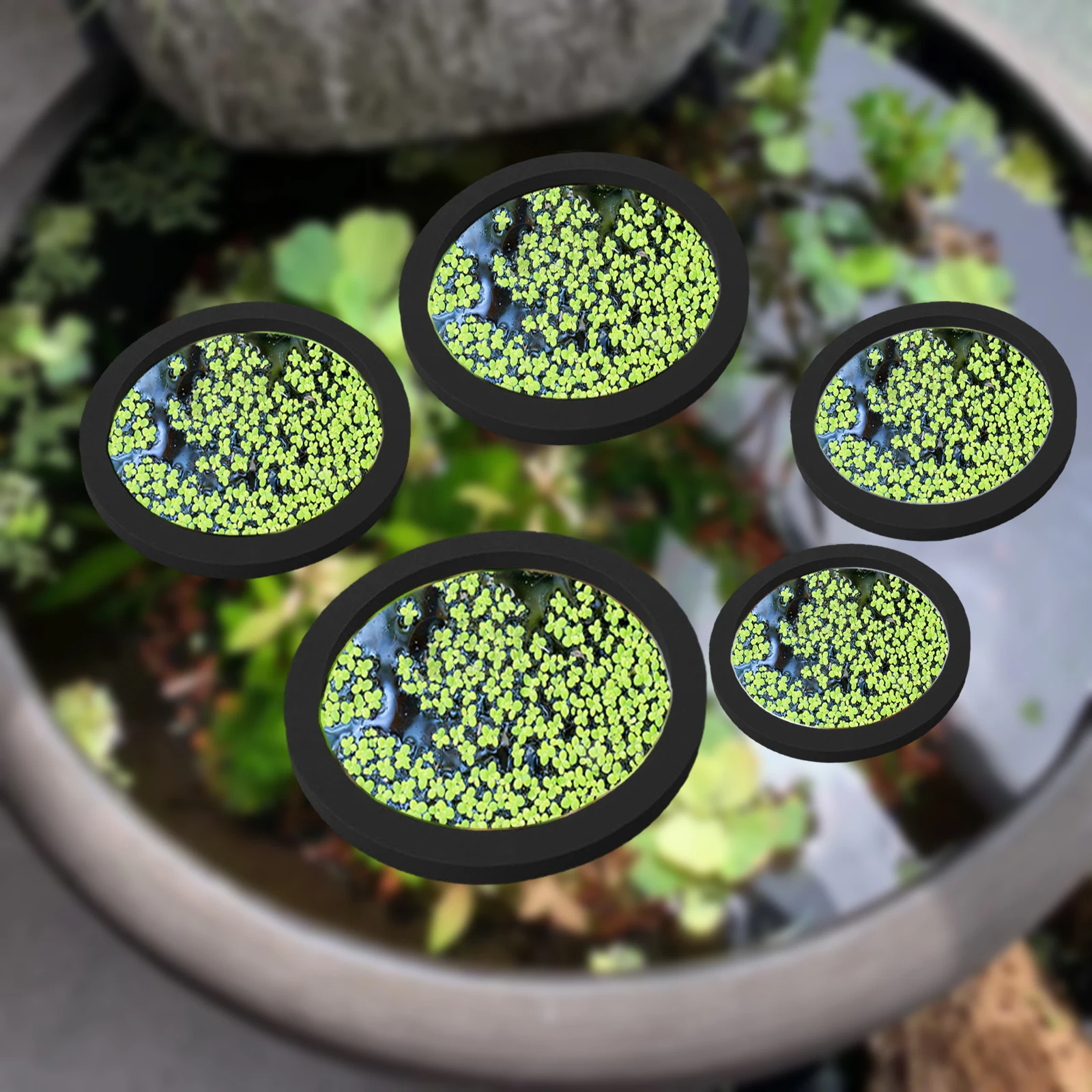 5Pcs EVA Fish Feeding Ring Aqu - Aquarium Fish Bowl 评论和价格