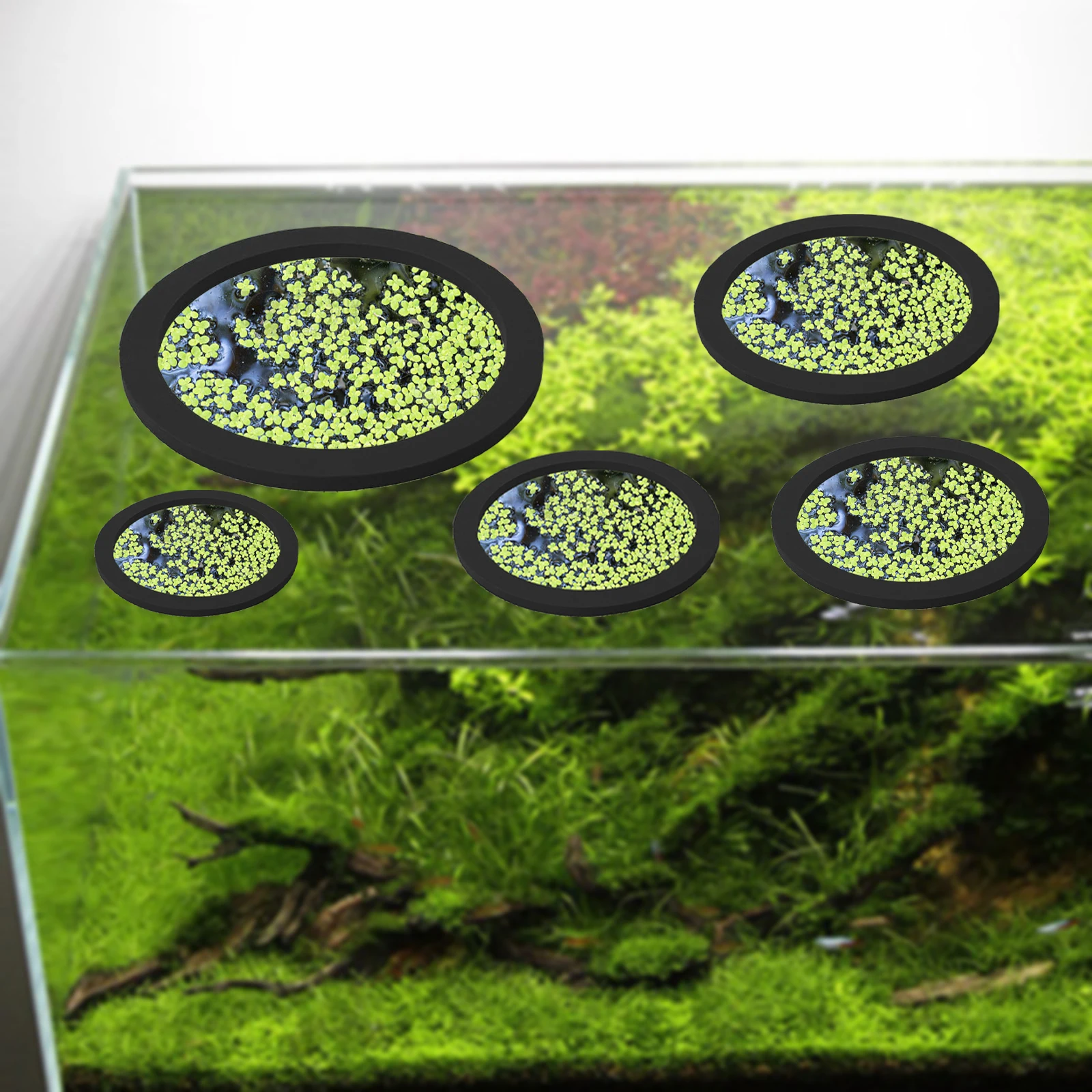 5Pcs EVA Fish Feeding Ring Aqu - Aquarium Fish Bowl 评论和价格