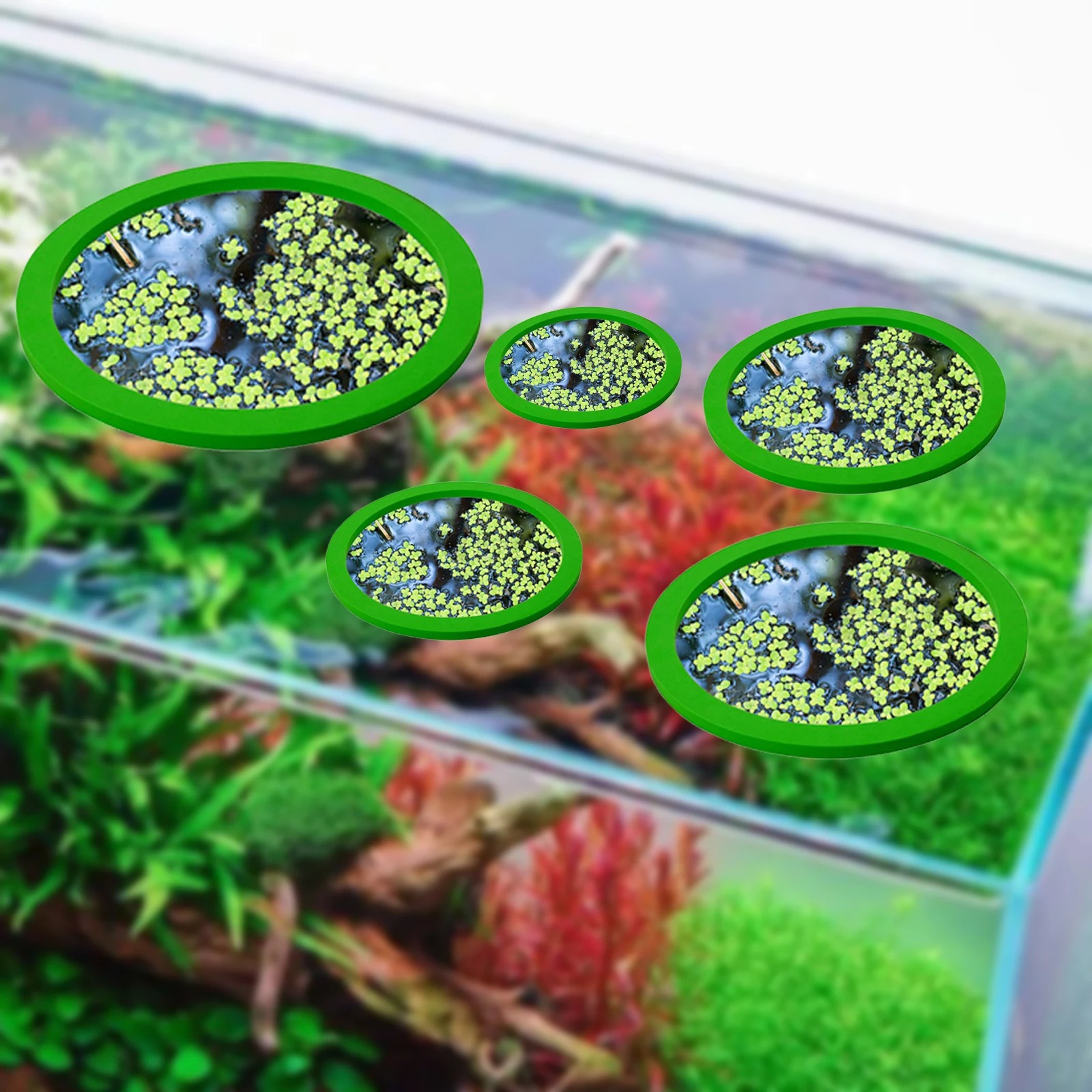 5Pcs EVA Fish Feeding Ring Aqu - Aquarium Fish Bowl 评论和价格