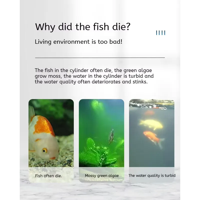 5W High Quality Eco-Friendly P - Aquarium Fish Quality 评论和价格