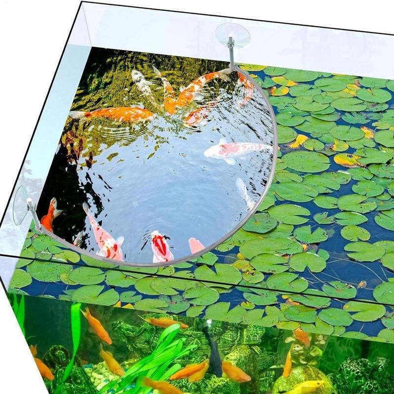 Floating Plant Corral Fish Fee - Aquarium Fish Quality 评论和价格