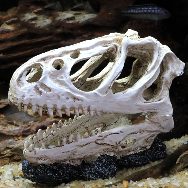 Aquarium Fish Tank Dinosaur He - Aquarium Fish Popular 评论和价格