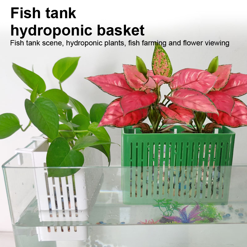 【F】Fish Tank Hanging Planter A - Aquarium Fish Quarantine 评论和价格