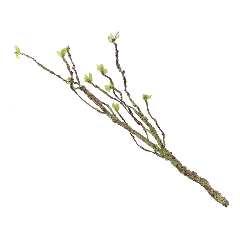 Vines Decor Climbing Branches  - Aquarium Fish Quarantine 评论和价格